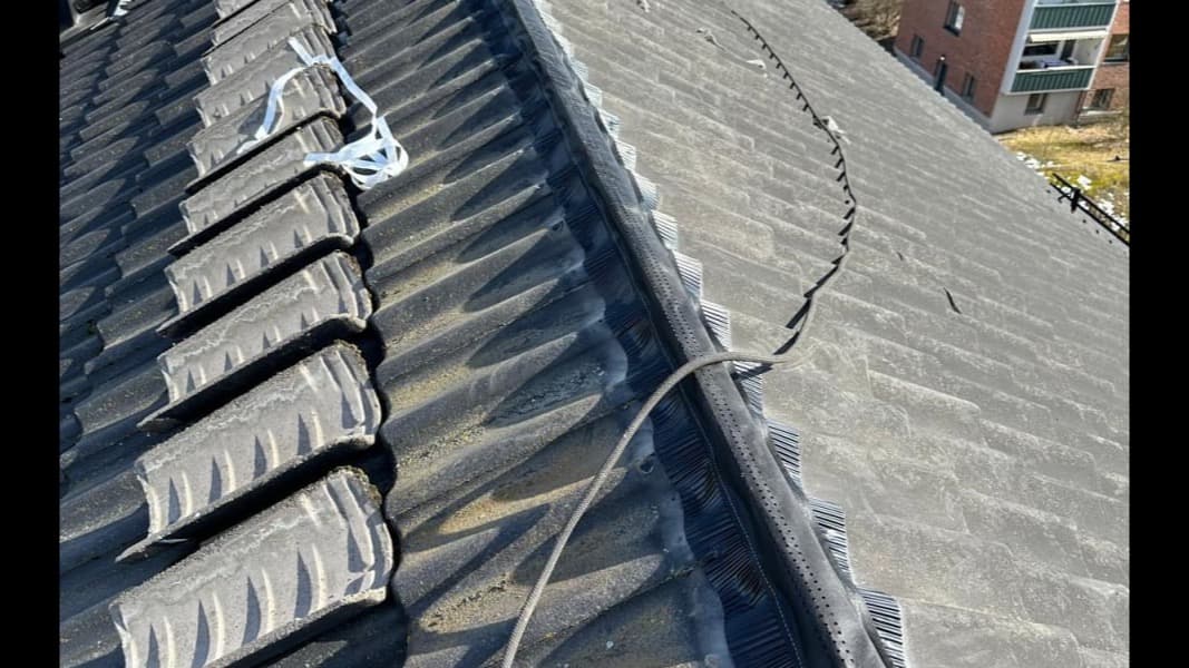 Takrehabilitering Oslo: Alt du trenger å vite (2026)