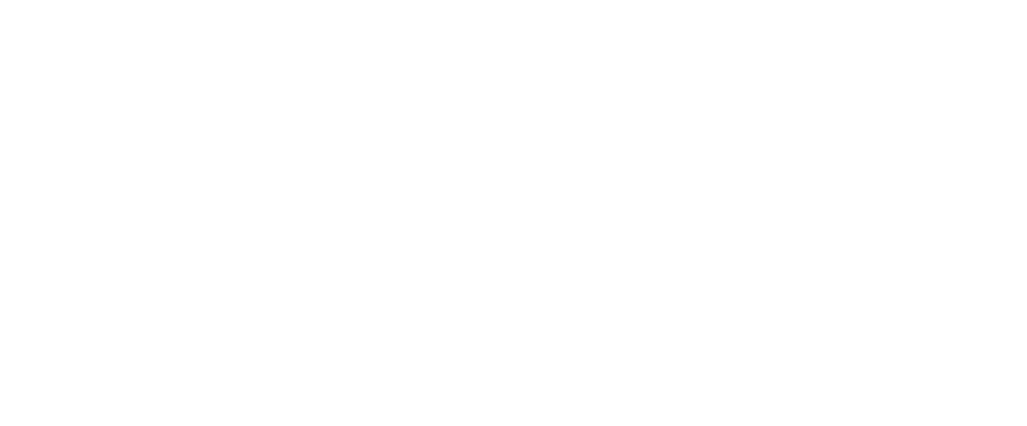 Voler AS
